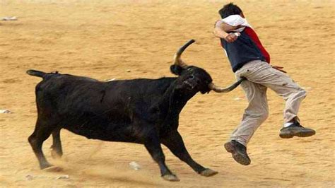 Funny Videos 2016 Most Risk Bullfightingcrazy Bull Attack People