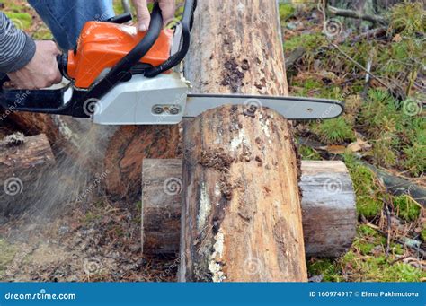 Chainsaw Tree Saw Wood Cutting Work Forest Lumberjack Tool Log