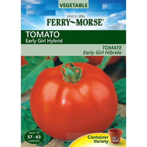 Ferry Morse Tomato Early Girl Hybrid Seed X8102 The Home Depot