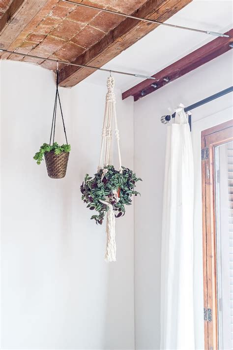 How To Hang Plants From Your Ceiling In Less Than 20 Minutes Natural