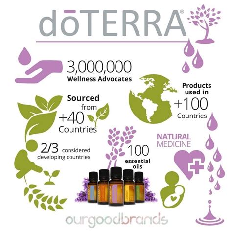 Natural Medicine With The Most Sustainable Essential Oil Brand Doterra