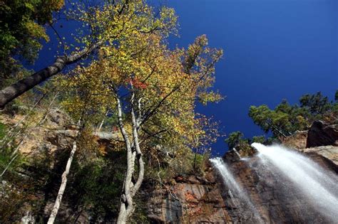 Developing character with intellect since 1907. Toccoa Falls - City of Toccoa