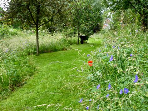 Garden Visit A Wildflower Meadow At The Edge Of An English Cottage