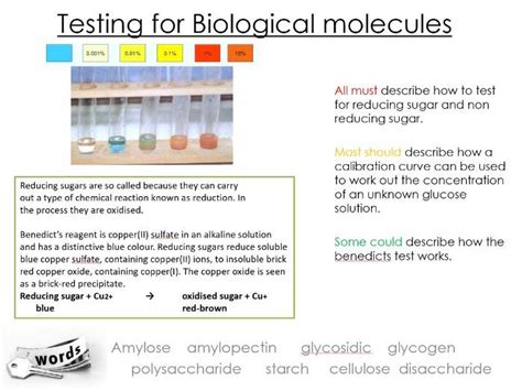 Alevel Biology Benedicts Test Biuret Pag Colorimeter Reducing And