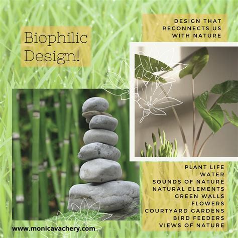 Monica Vachery Lifestyle Design 6 Benefits Of Biophilic Design