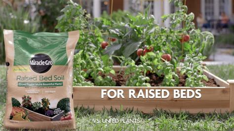 How To Use Miracle Gro® Raised Bed Garden Soil Youtube