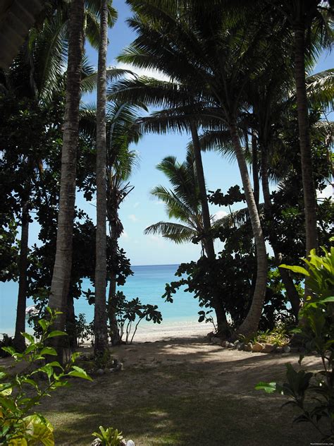 Dive Kadavu Matana Beach Resort Vunisea Fiji Hotels And Resorts