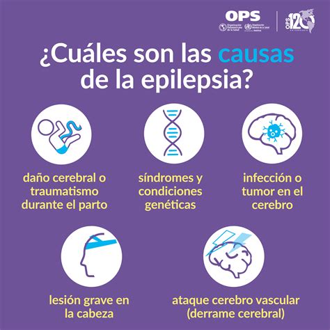 Epilepsia Opsoms Organización Panamericana De La Salud