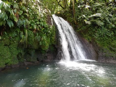 Cascade Aux Ecrevisses Parc National 2019 Ce Quil Faut Savoir Pour