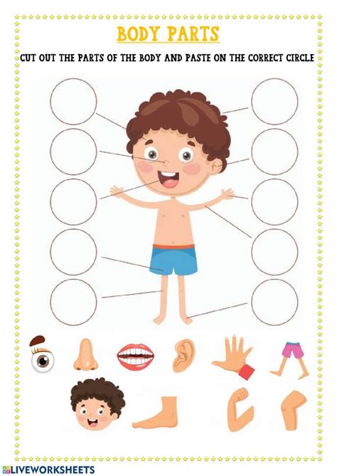 Body Parts Worksheets For Preschoolers