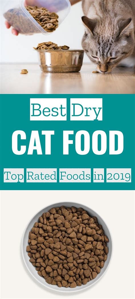 Boost your cat's health and vitality with 100% raw and natural cat food. Best Dry Cat Food - Top Rated Foods in 2019 | Dry cat food ...