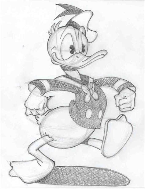 Character Drawings Of Donald Duck Disney Pencil Drawings Disney