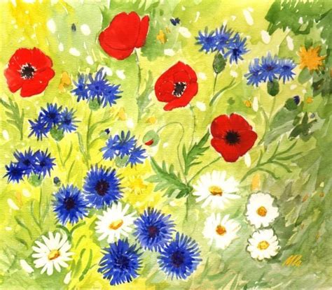 Bouquet de coquelicots coquelicots aquarelle aquarelle fleurs peinture fleurs coloriage fleur dessin floral dessin coloriage fleurs peintes broderie fleurs. Bleuet de France - Les aquarelles de Marie-Luce