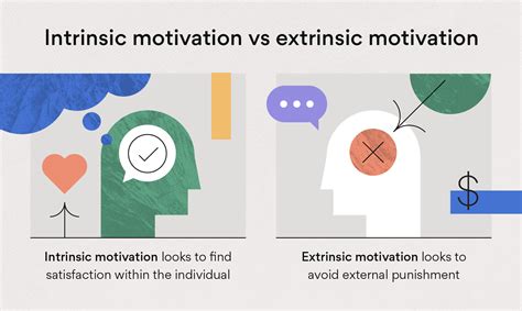Intrinsic Motivation Examples Hot Sex Picture
