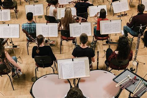 HD wallpaper: Musicians in orchestra, arts, band, classic, classical