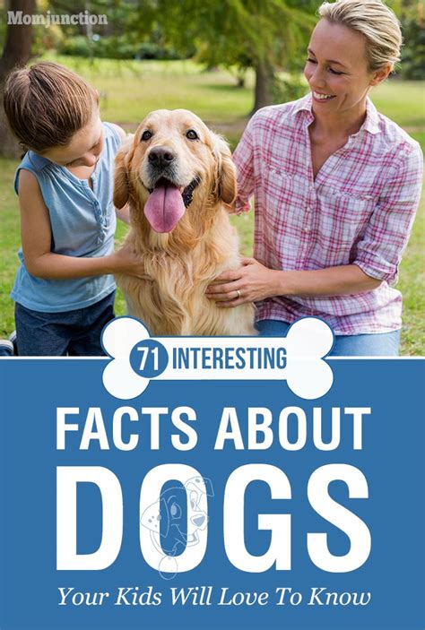 71 Interesting Facts About Dogs To Share With Kids Dog Facts Dogs