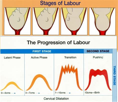 My Rhythm Of Life Understanding The Stages Of Labour Is Laborious
