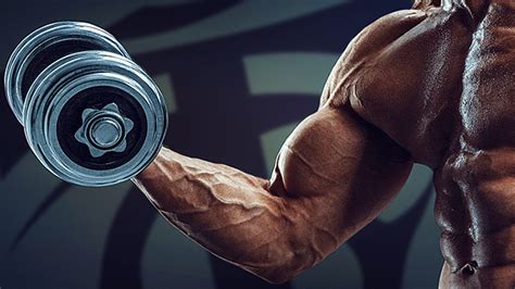The 10 Best Biceps Training Tips