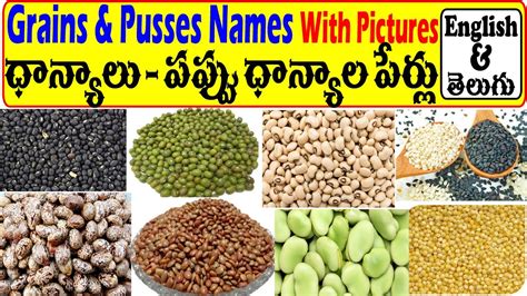 Learn All Grains And Pulses Names In English And Telugu Easily