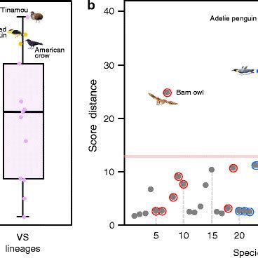 In nature, the wild african violet species grow under a deep forest canopy near the equator. (PDF) Gene loss, adaptive evolution and the co-evolution ...