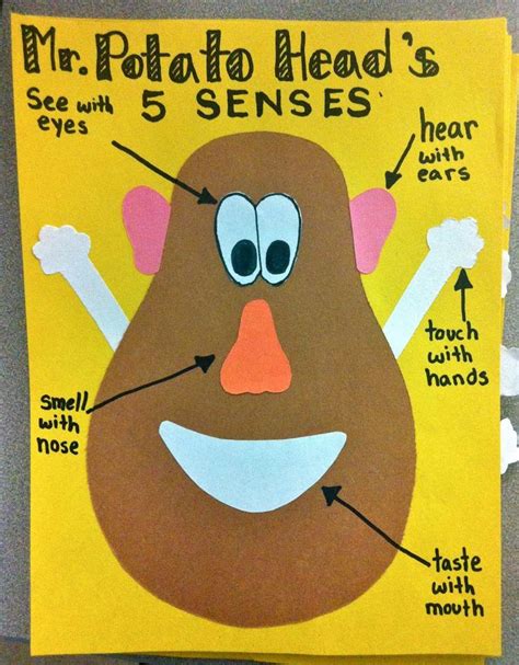 Preschool and kindergarten sense of touch lessons and the five senses. Teaching in the Net: Top 9 Uses for a Mr. Potato Head, a ...