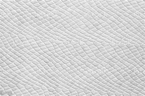 Black And White Leather Texture Background Stock Photo Download Image