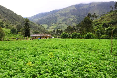 Cinco Destinos Naturales Del Valle Del Cauca Para Visitar En El 2021 Uao Portal