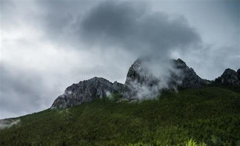 Mountain Slope In Lying Cloud With The Evergreen Conifers Shrouded In