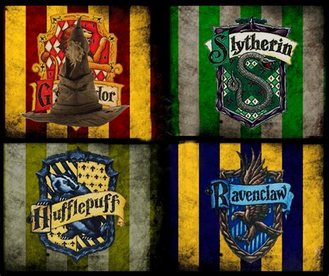 Il Test Casata Di Harry Potter Wizarding World Italiano Testi Vari