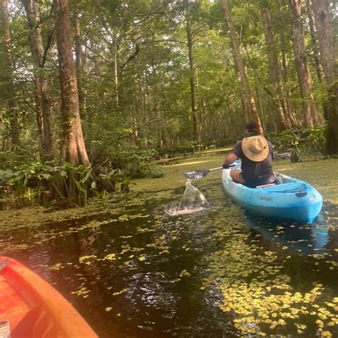 Manchac Swamp Kayak Small Group Tour 2021 New Orleans