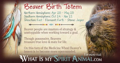 Beaver Totem Birth Sign Native American Zodiac And Astrology
