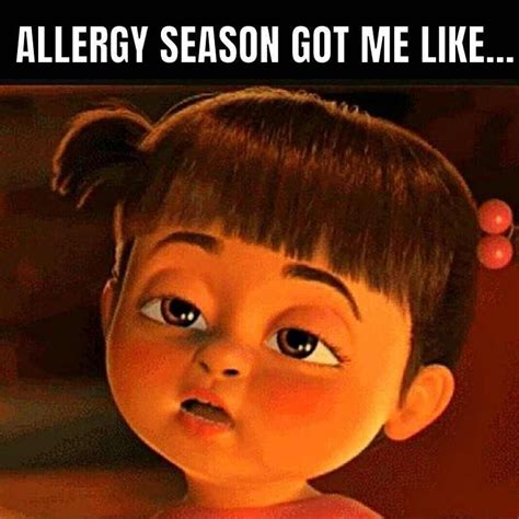 Funny Allergy Memes Allergy Memes Allergies Funny Medical Memes