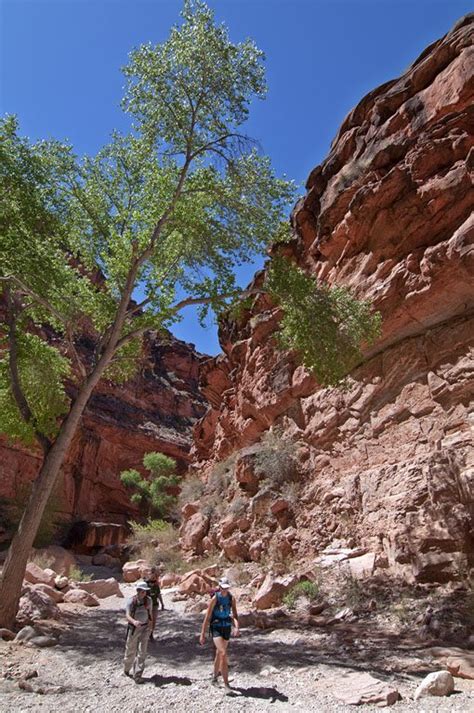 Hike To Havasupai Waterfalls Guided Trip All Inclusive Arizona