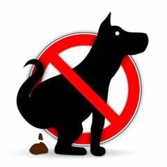 Individuelle warnschilder, hinweisschilder, wegweiser sowie verbotsschilder online mit wenigen klicks gestalten und bestellen. Bilder und Videos suchen: hundeklo