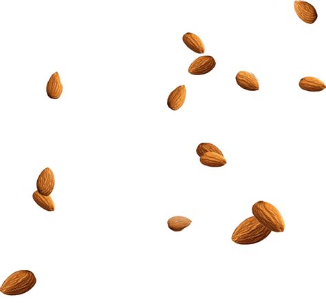 Almond Nuts Png Clipart Png All