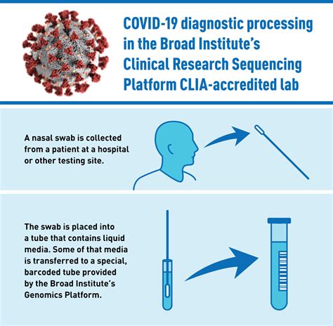 Viral tests and antibody tests. COVID-19 diagnostic testing at the Broad | Broad Institute