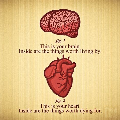Image Result For Heart And Brain Quotes Mind And Heart