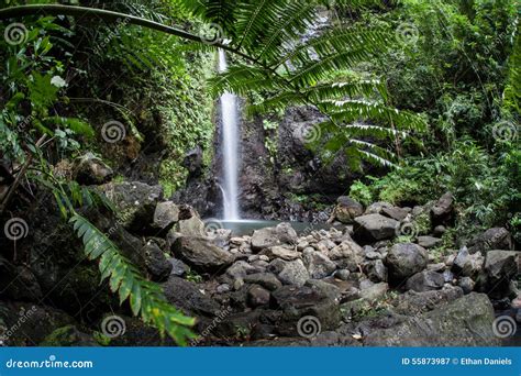 Tropical Rainforest And Waterfall Stock Image 55873987