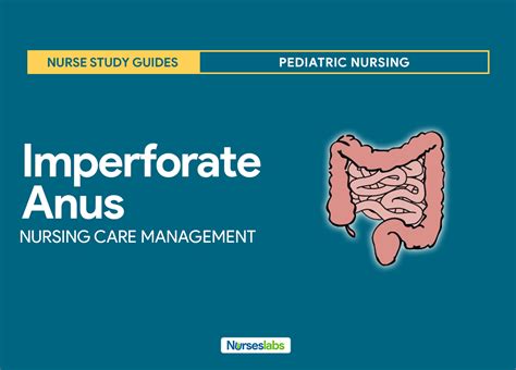 Imperforate Anus Nursing Care Management And Study Guide Nurseslabs
