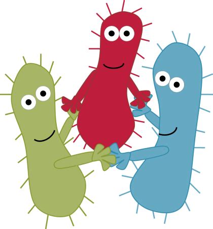 Bacterial Cell Structure Microbiology Microorganism Png Clipart Area Images
