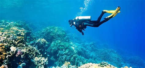 Elite tioman dive centre booking unavailable on tripadvisor. The Barat Tioman Diving | 5 Best Scuba Diving in Tioman