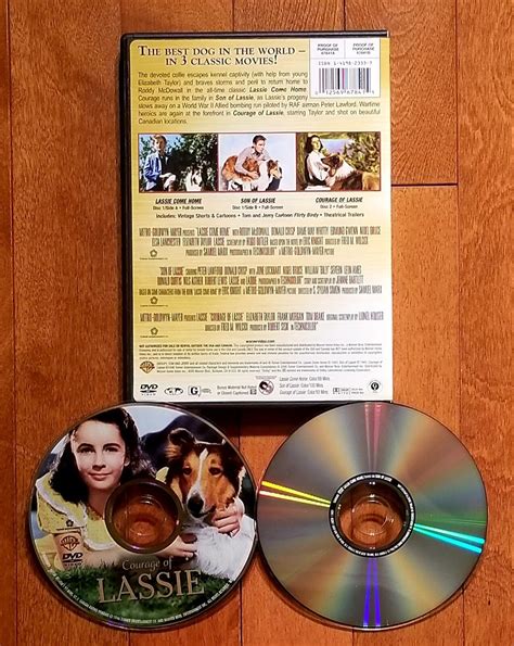 lassie come home son of lassie courage of lassie dvd 2006 2 disc set 12569678415 ebay