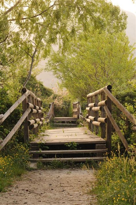 Wooden Bridges Along Nature Path Stock Image Image Of Brescia