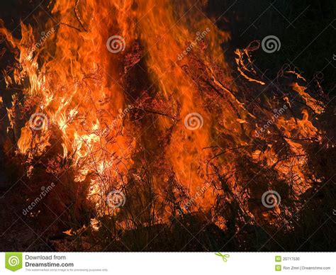 Burning Flame Fire Inferno Stock Photo Image Of Fire 20717530