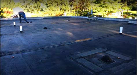 6 Essential Roofing Maintenance Tips Every Homeowner Should Know