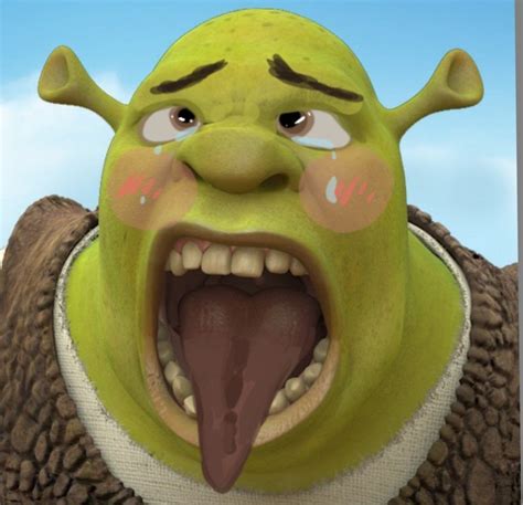 Shrek In Shrek Funny Shrek Shrek Memes Vrogue Co