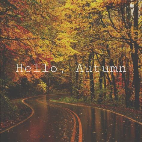 Hello Autumn Pictures Photos And Images For Facebook Tumblr
