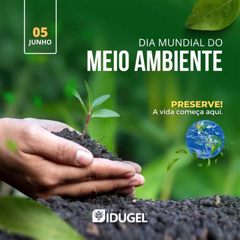 O Dia Mundial Do Meio Ambiente A Importância Da Sustentabilidade Na Agroindústria E Na