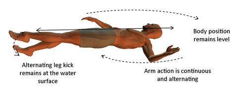 Basic Backstroke Swimming Techniqueexplained In Simple Stages