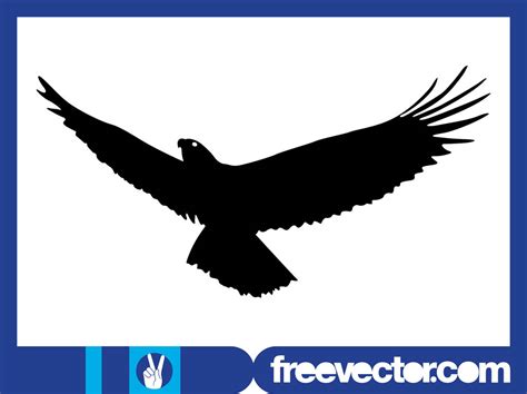 Flying Eagle Silhouette Graphics Vector Art And Graphics